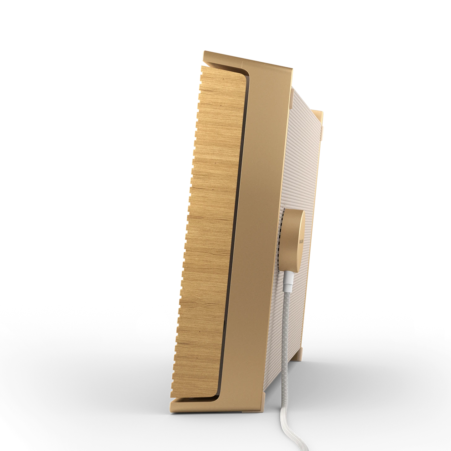 Bang & Olufsen Beosound Level Taşınabilir Multiroom Kablosuz Hoparlör