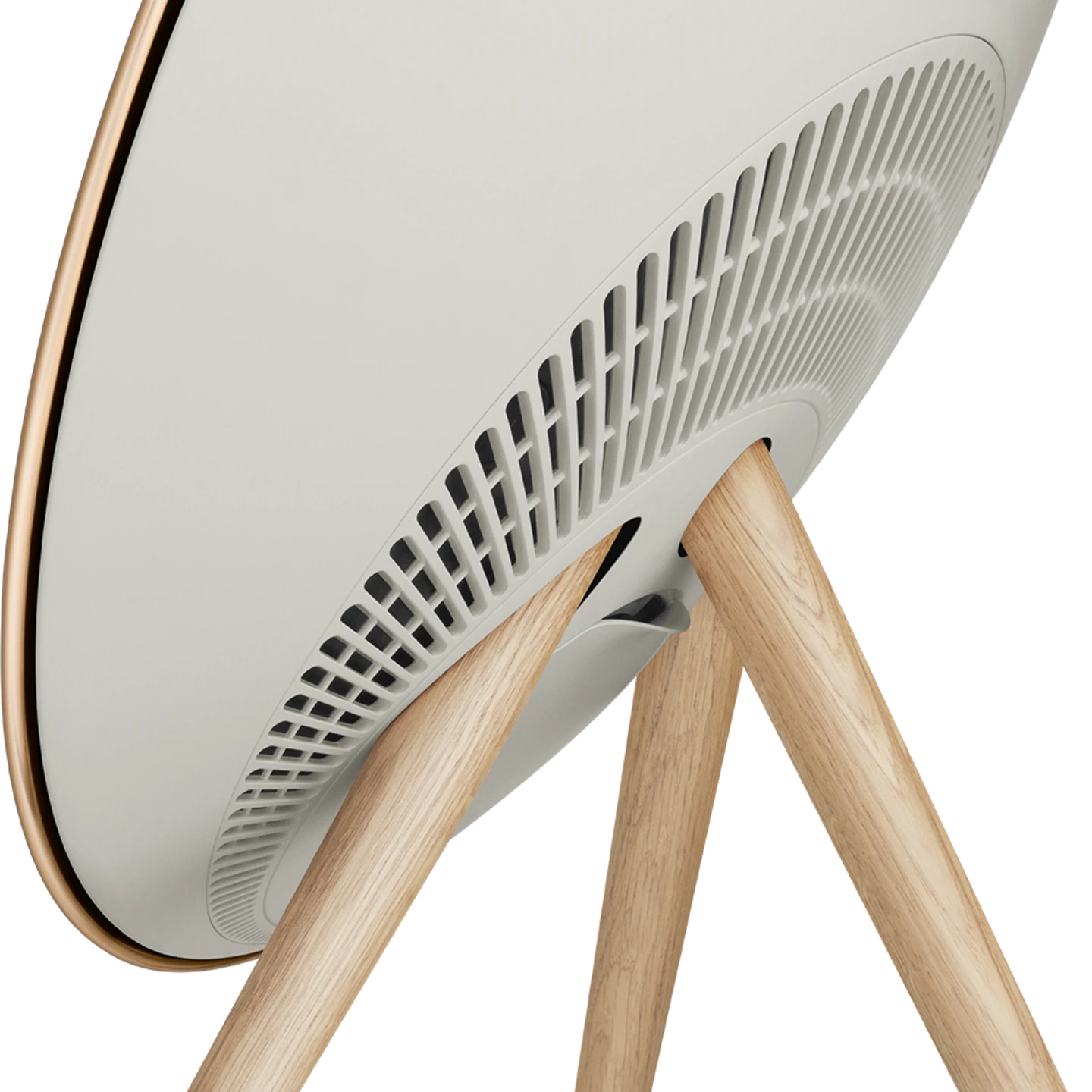 Bang & Olufsen Beosound A9 Multiroom Kablosuz Hoparlör