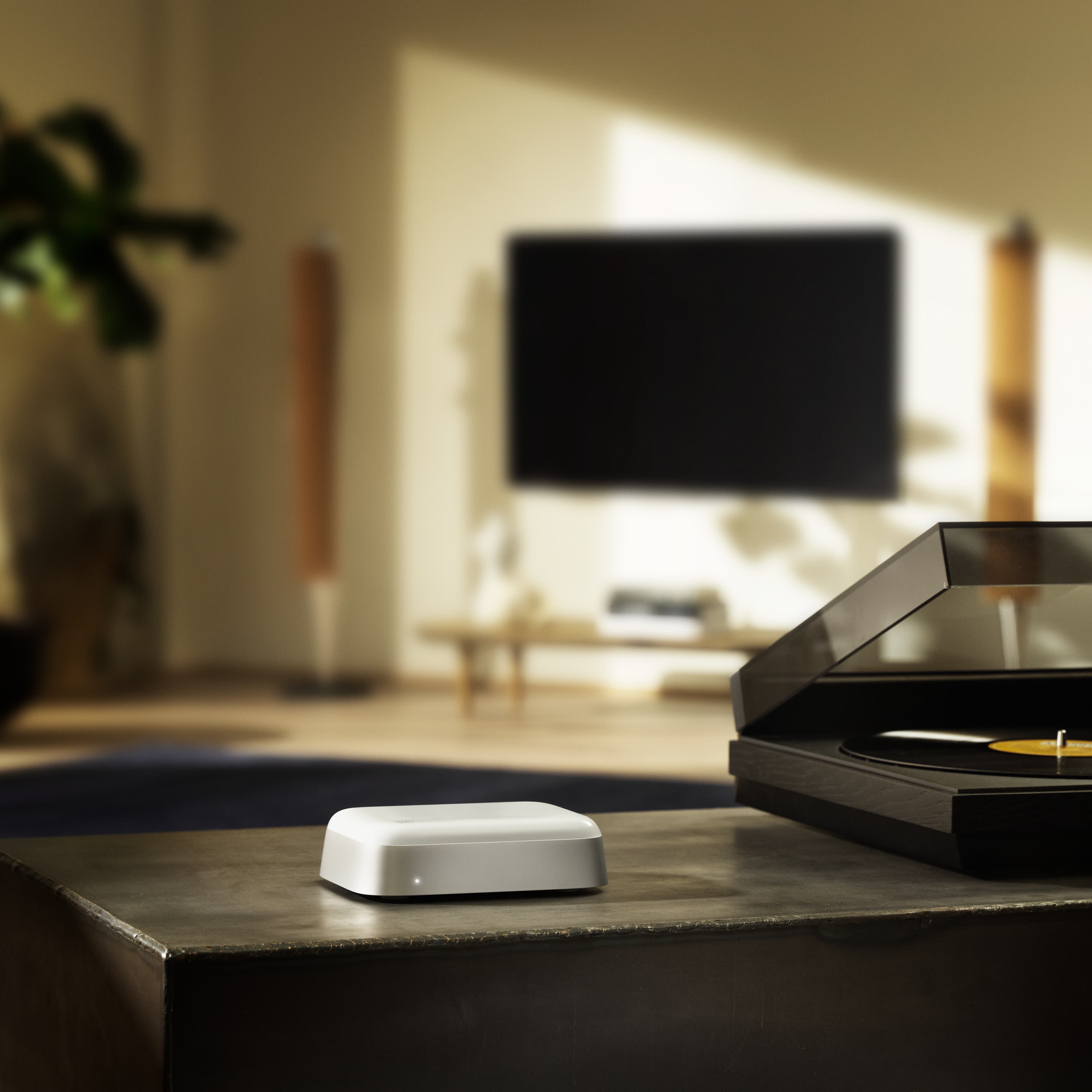 Bang & Olufsen Beoconnect Core (Hoparlör İçin Kablosuz Bağlantı Hub'ı)