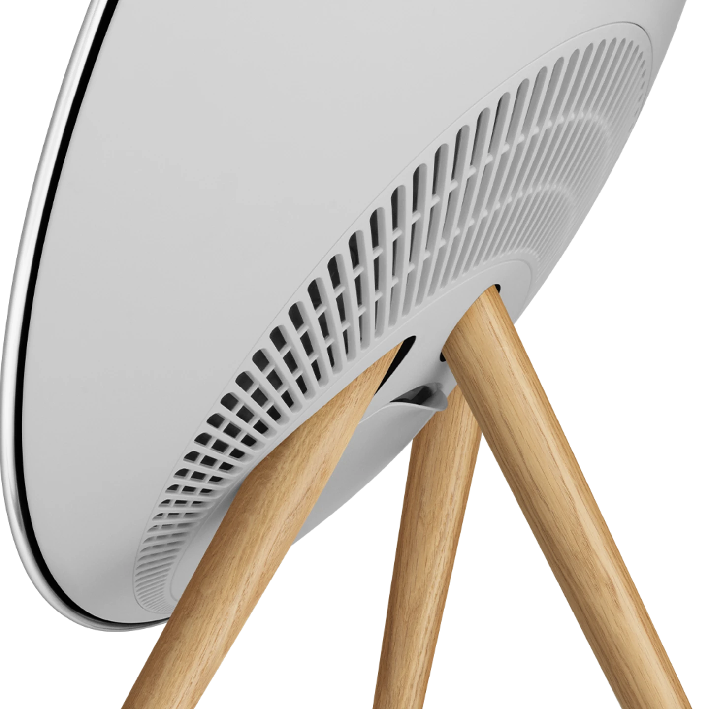 Bang & Olufsen Beosound A9 Multiroom Kablosuz Hoparlör