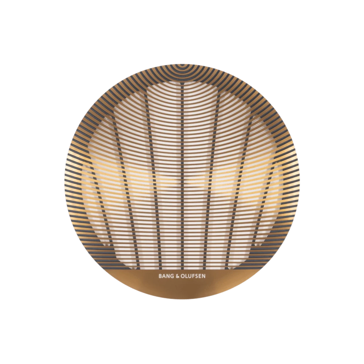 Bang & Olufsen Celestial Tavan İçi Yuvarlak Mimari Hoparlör - Hoparlör