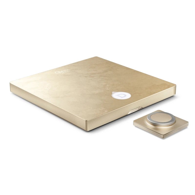 Devialet Astra Opéra de Paris Amplifikatör - Amplifikatör