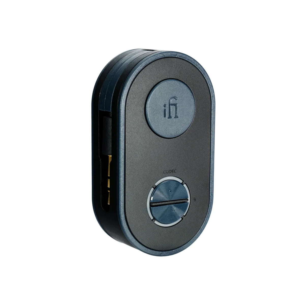 iFi Taşınabilir Bluetooth Verici/Alıcı -