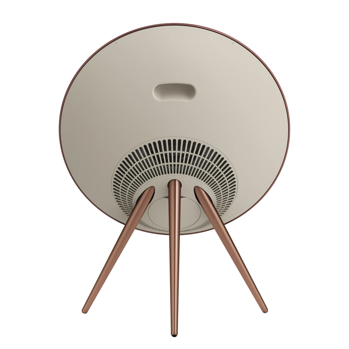Bang & Olufsen Beosound A9 Multiroom Kablosuz Hoparlör
