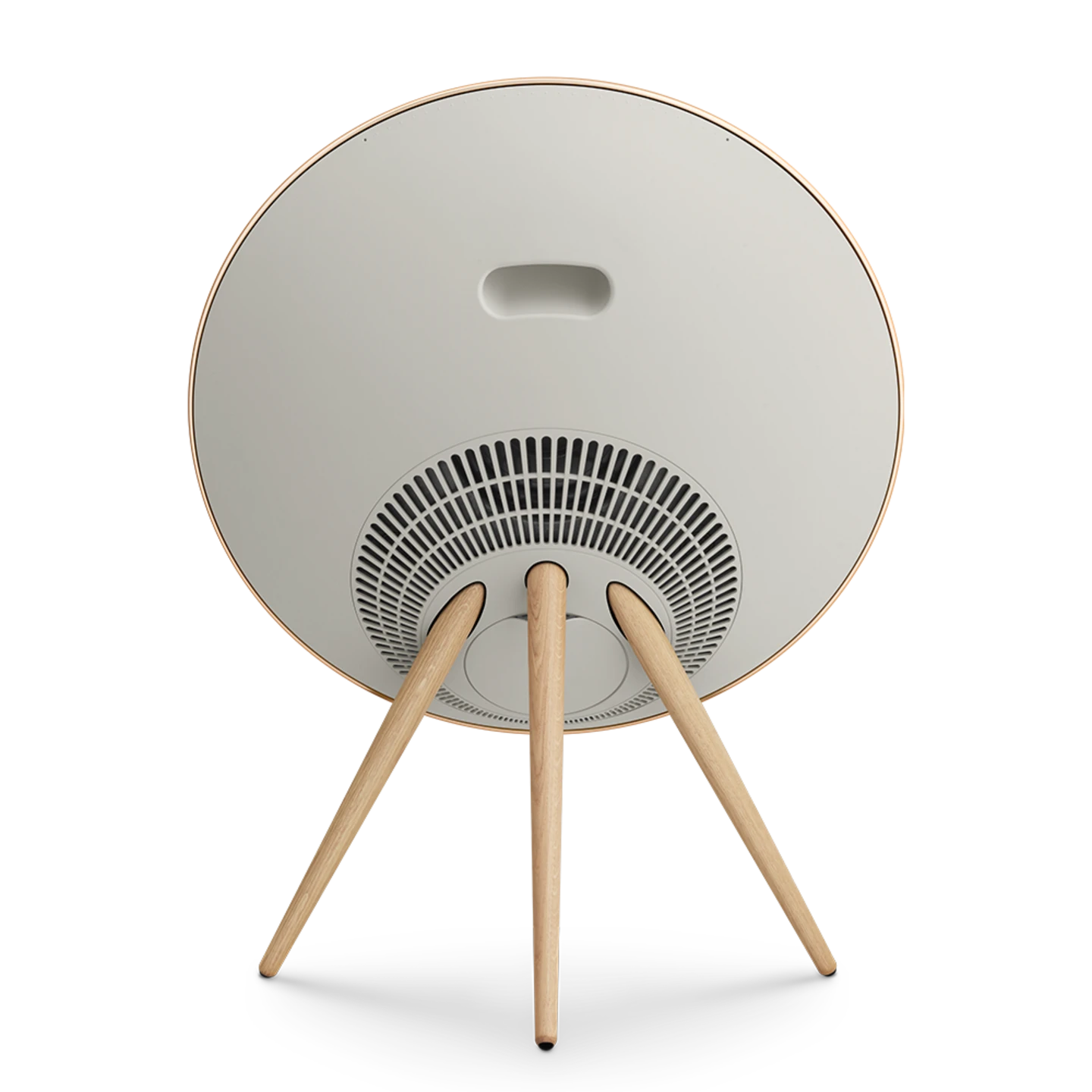 Bang & Olufsen Beosound A9 Multiroom Kablosuz Hoparlör