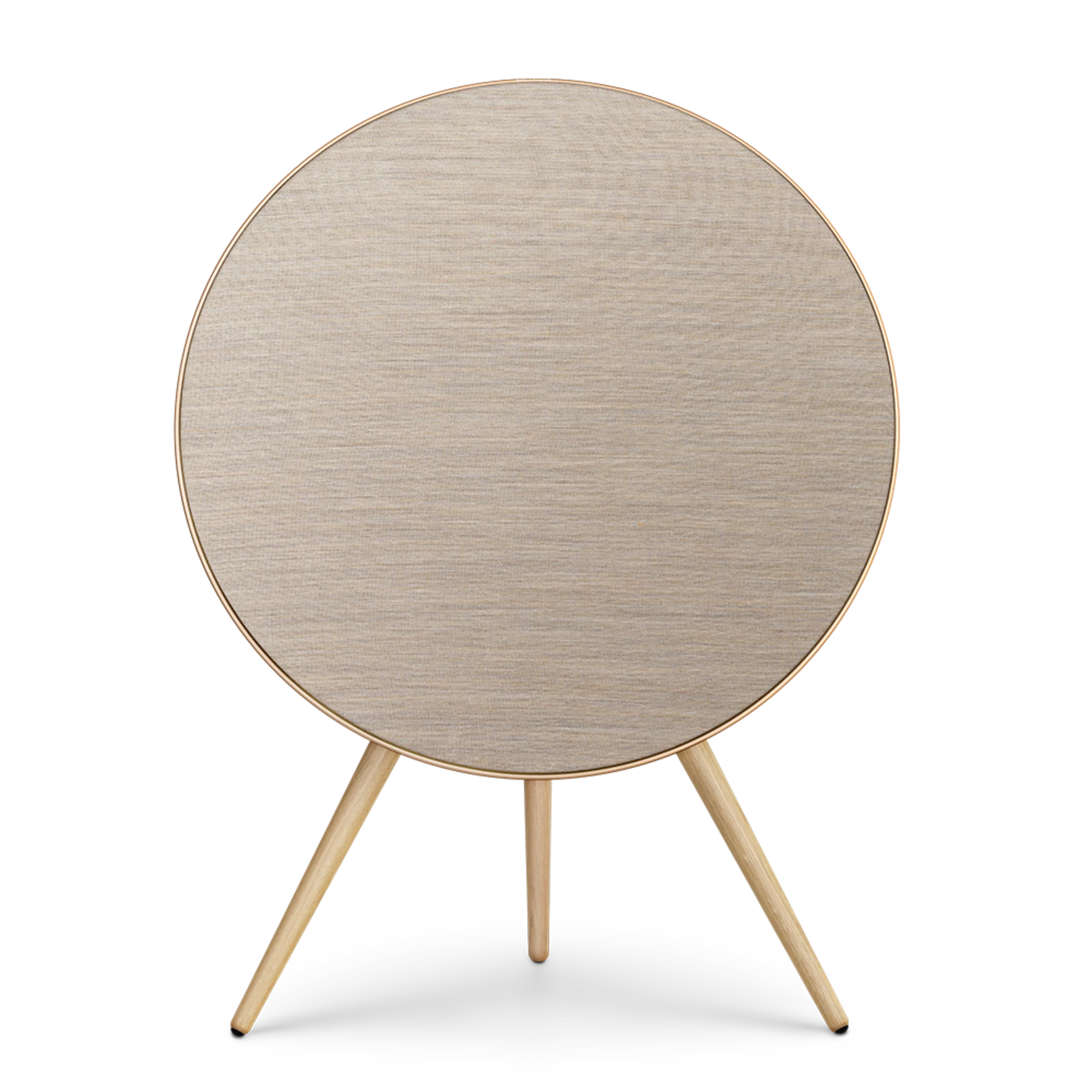 Bang & Olufsen Beosound A9 Multiroom Kablosuz Hoparlör