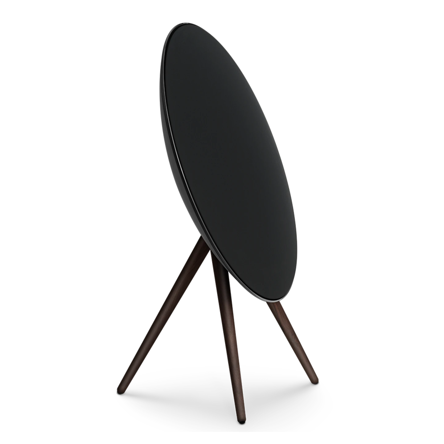 Bang & Olufsen Beosound A9 Multiroom Kablosuz Hoparlör