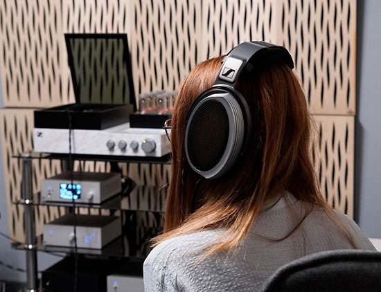 Sennheiser HE 1
