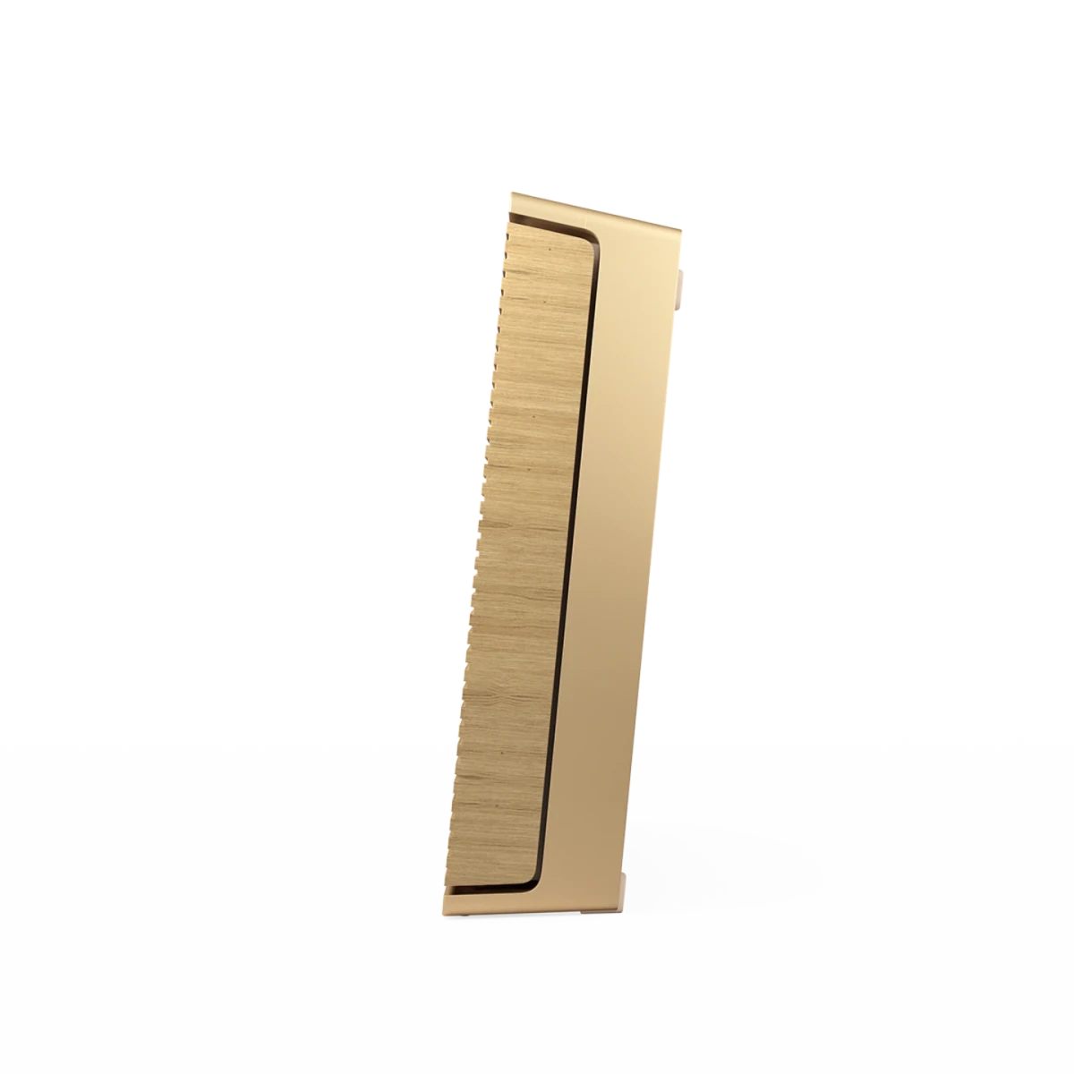 Bang & Olufsen Beosound Level Taşınabilir Kablosuz Hoparlör Bang & Olufsen Beosound Level Taşınabilir Kablosuz Hoparlör