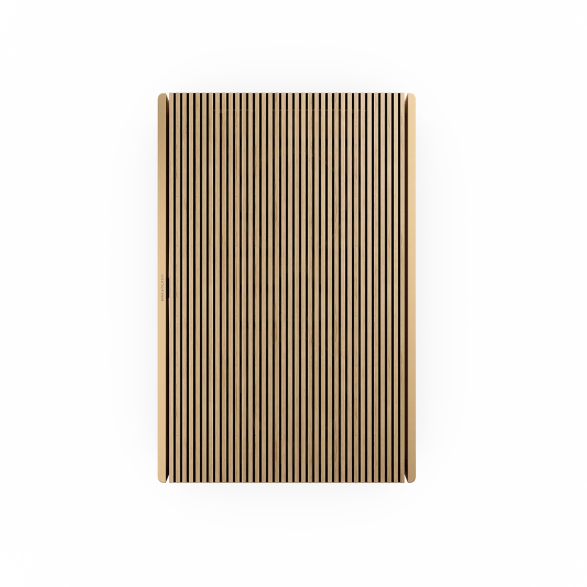 Bang & Olufsen Beosound Level Taşınabilir Kablosuz Hoparlör