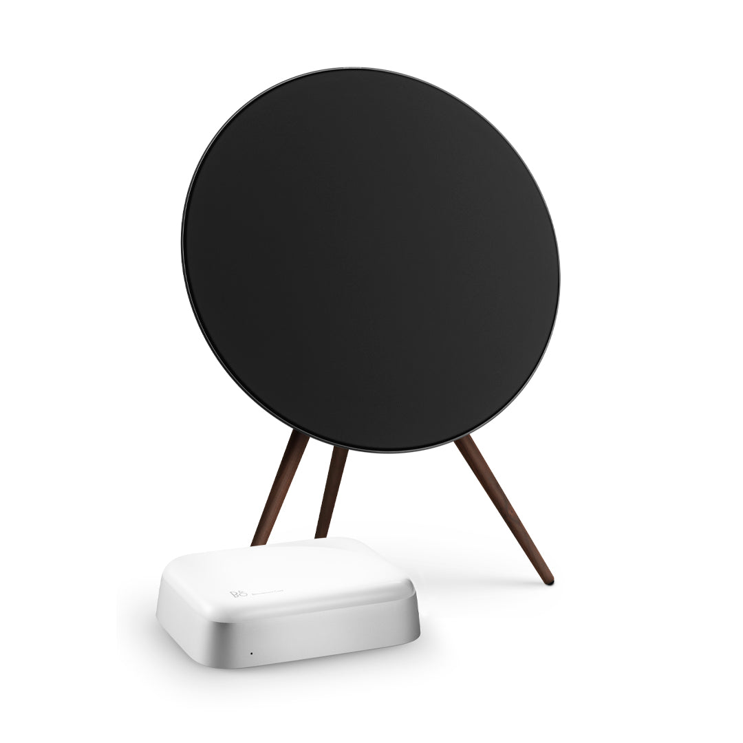 Bang & Olufsen Beosound A9 ve Beoconnect Core Set