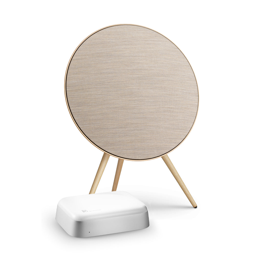 Bang & Olufsen Beosound A9 ve Beoconnect Core Set