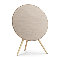 Bang & Olufsen Beosound A9 Multiroom Kablosuz Hoparlör