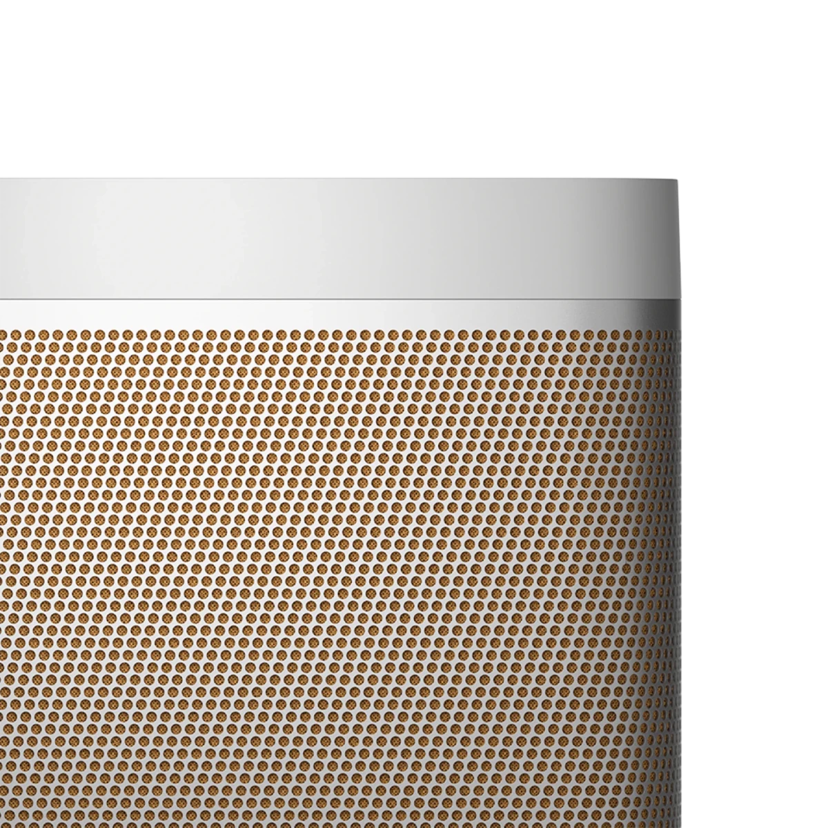 Bang & Olufsen Beolit 20 Taşınabilir Bluetooth Hoparlör - Bluetooth Hoparlör