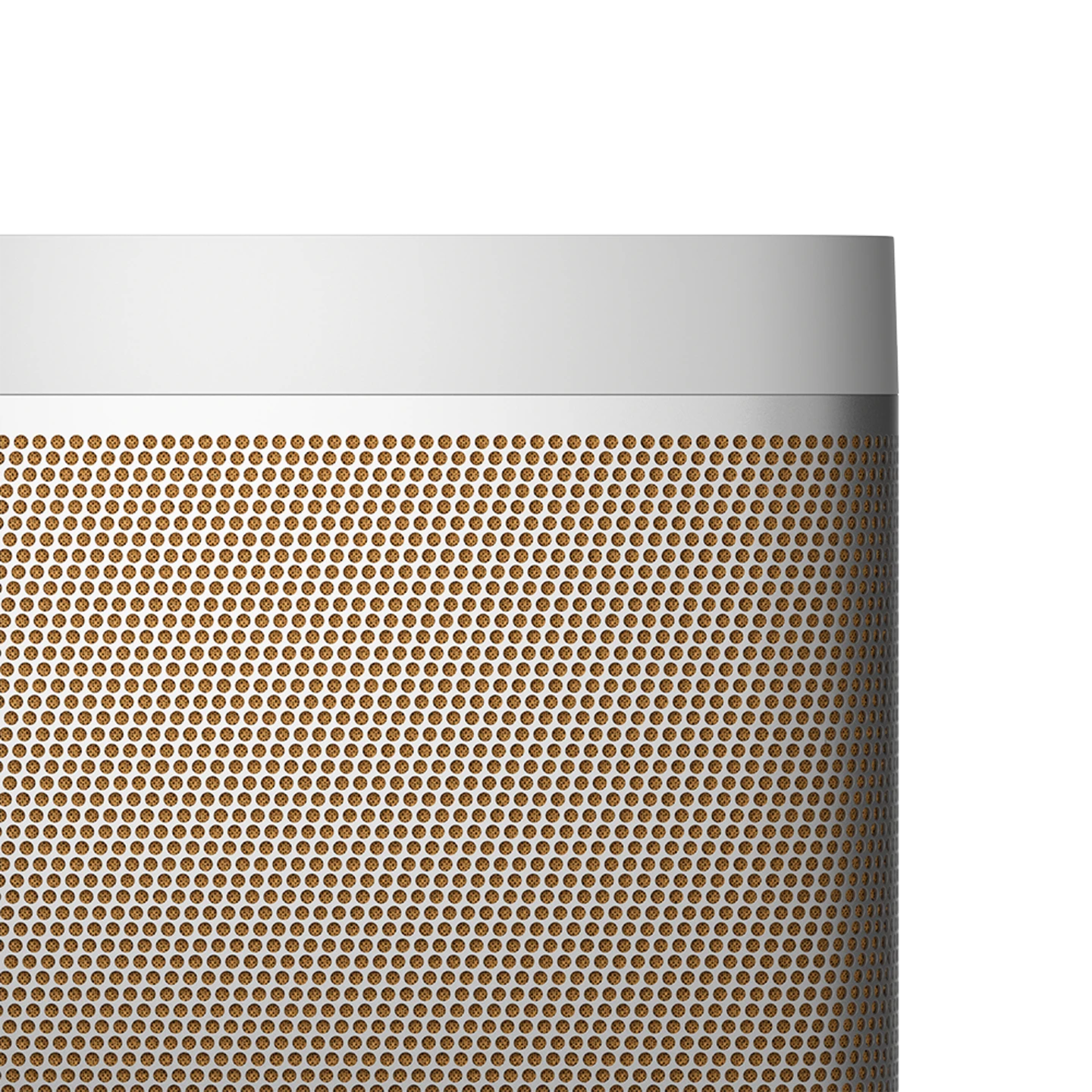 Bang & Olufsen Beolit 20 Taşınabilir Bluetooth Hoparlör