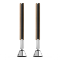 Bang & Olufsen BeoLab 28 Kablosuz Hi-Fi Aktif Hoparlör
