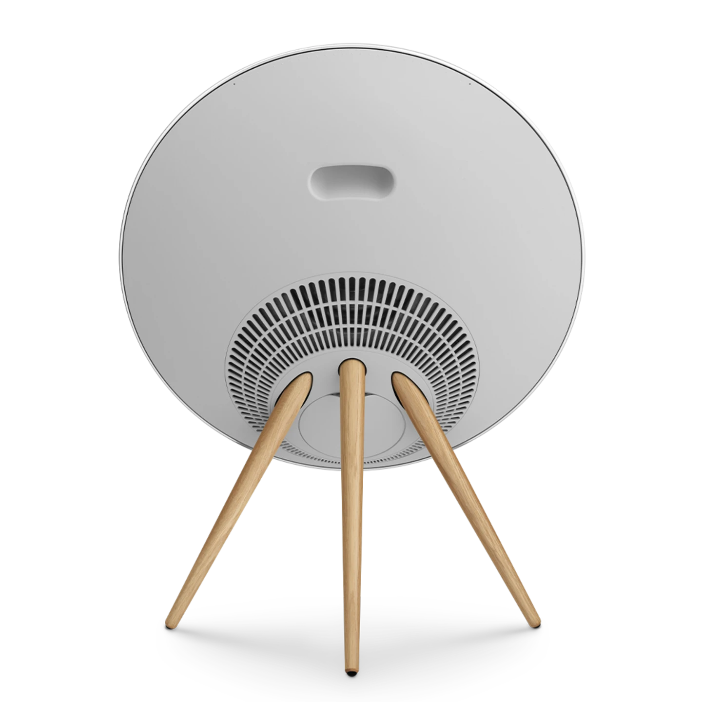 Bang & Olufsen Beosound A9 Multiroom Kablosuz Hoparlör