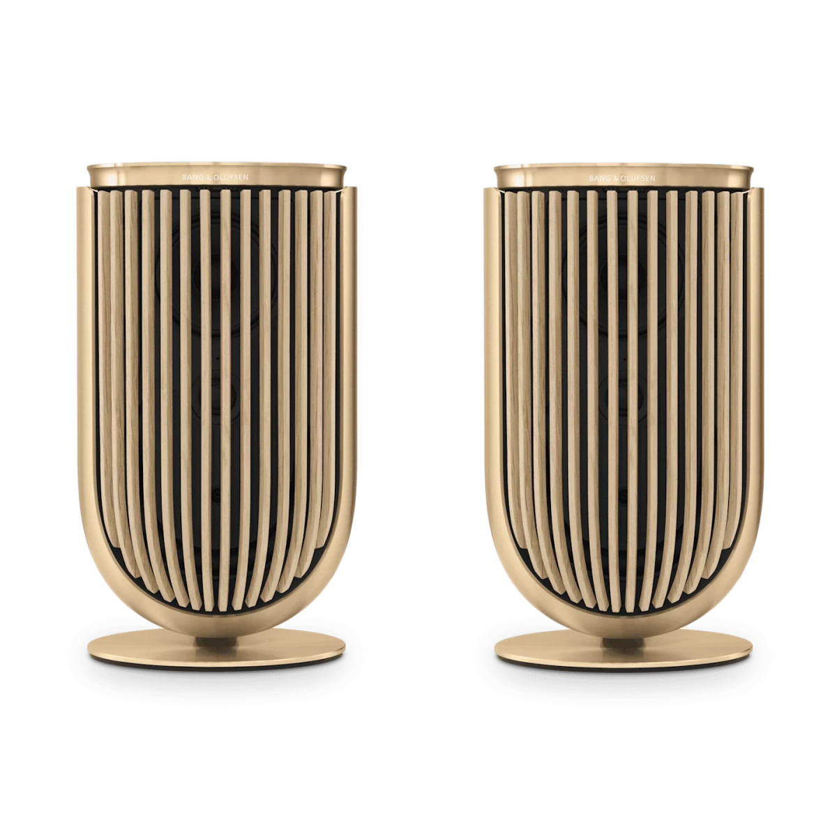Bang & Olufsen Beolab 8 Multiroom Kablosuz Hoparlör - Hoparlör
