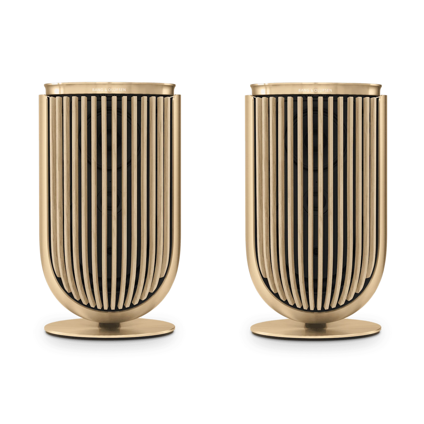 Bang & Olufsen Beolab 8 Multiroom Kablosuz Hoparlör