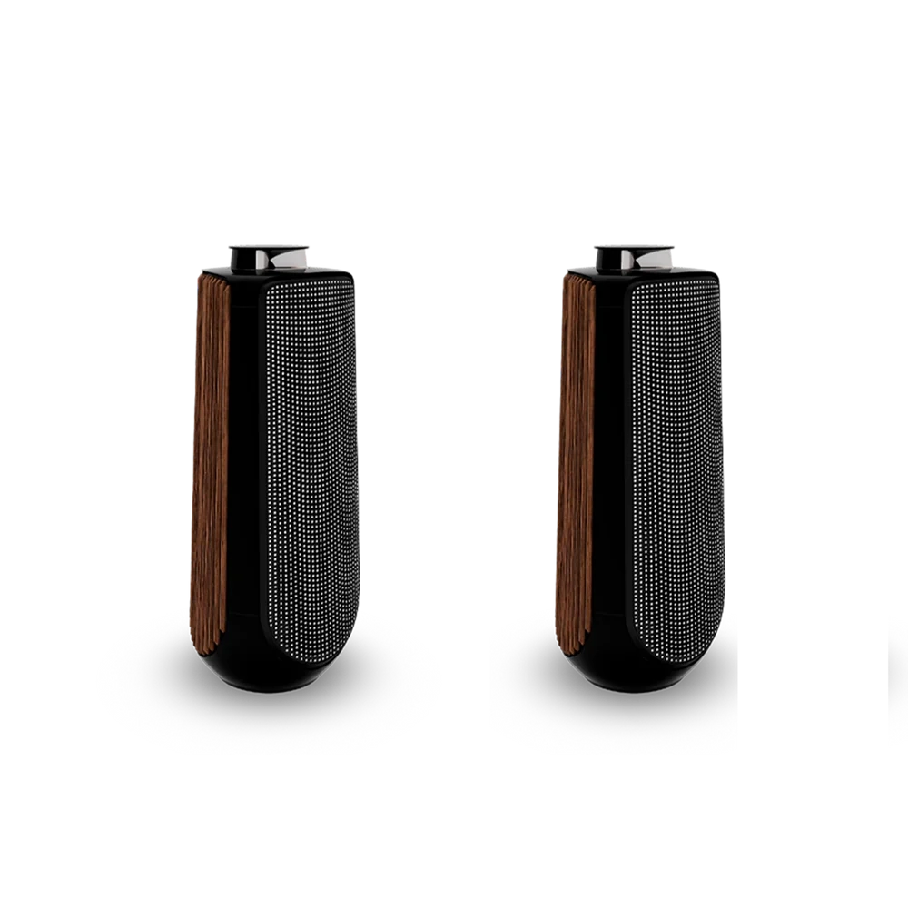 Bang & Olufsen BeoLab 50 Kablosuz High-End Aktif Hoparlör