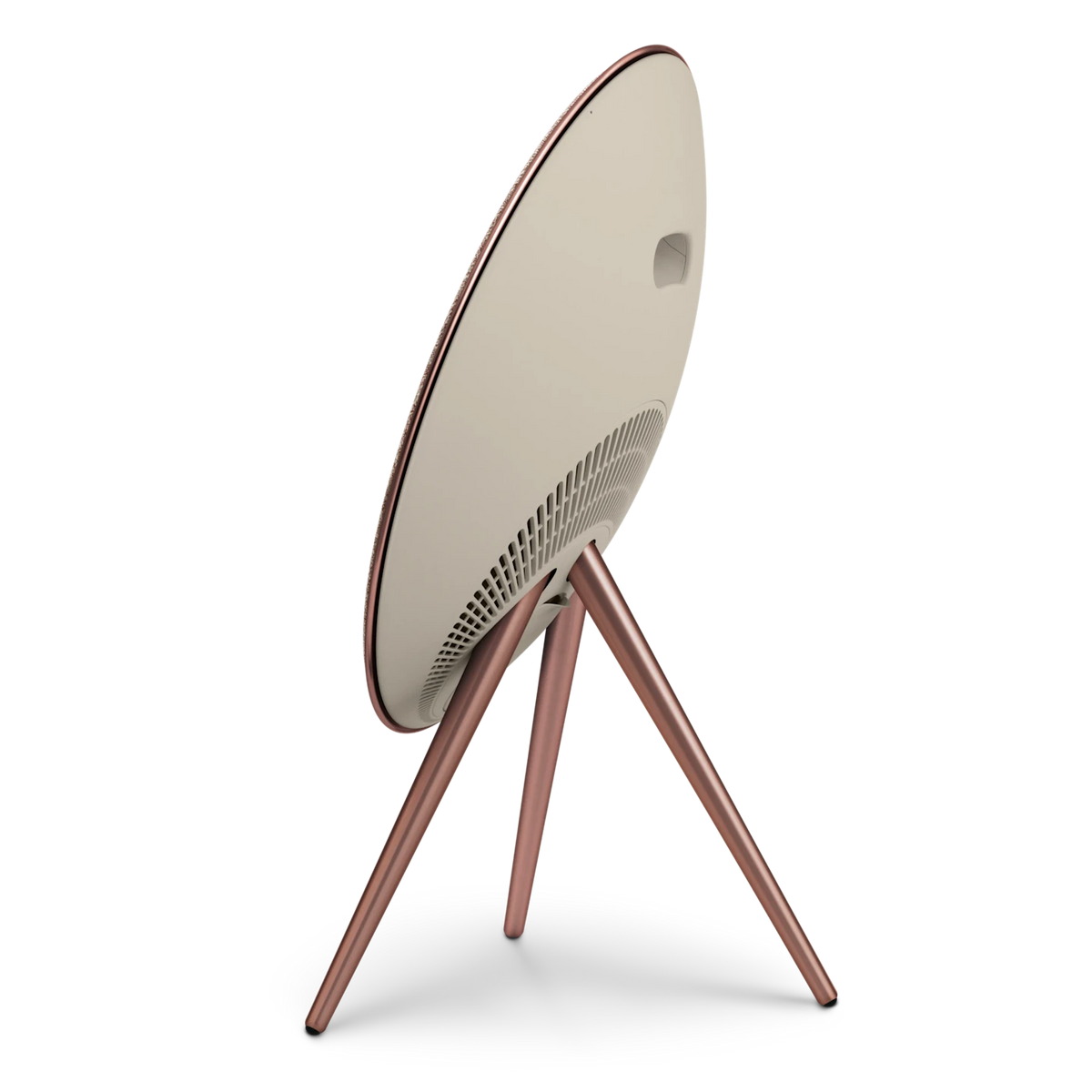 Bang & Olufsen Beosound A9 Multiroom Kablosuz Hoparlör