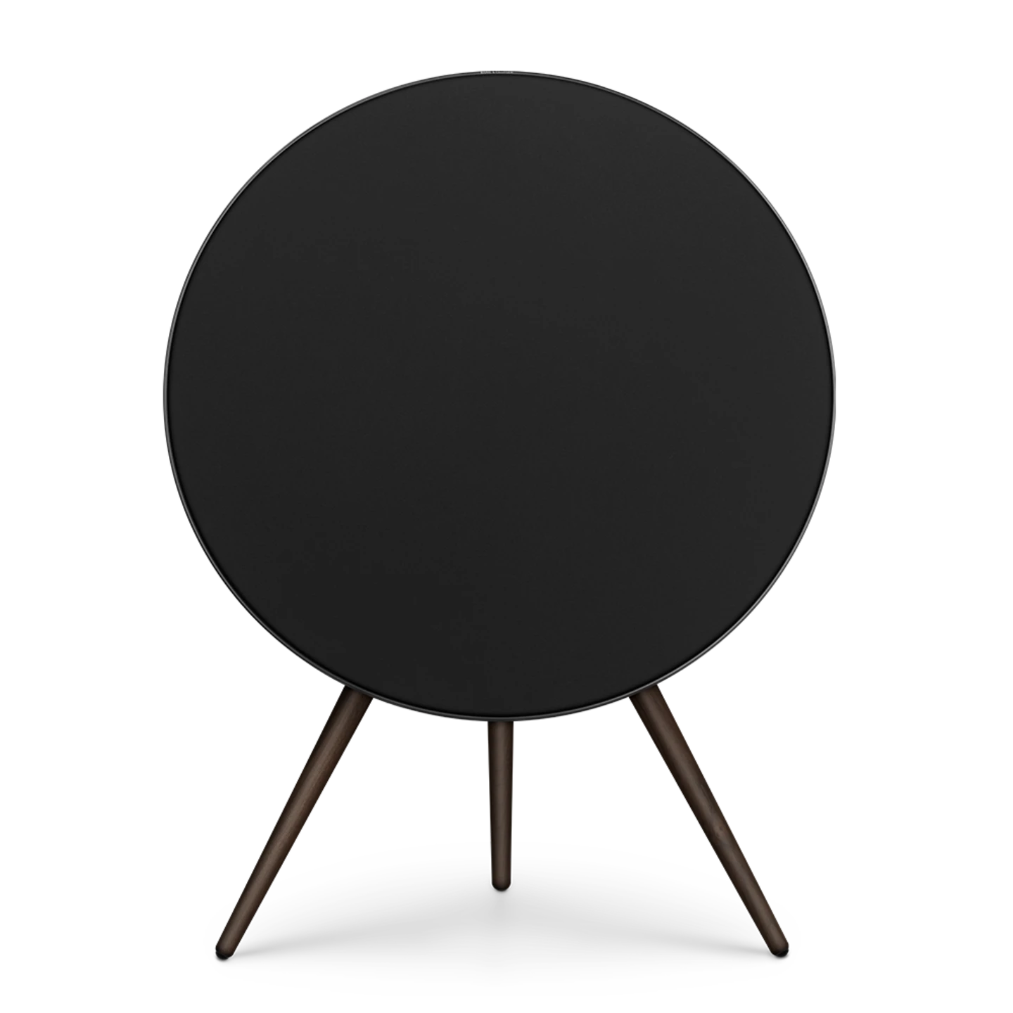 Bang & Olufsen Beosound A9 Multiroom Kablosuz Hoparlör