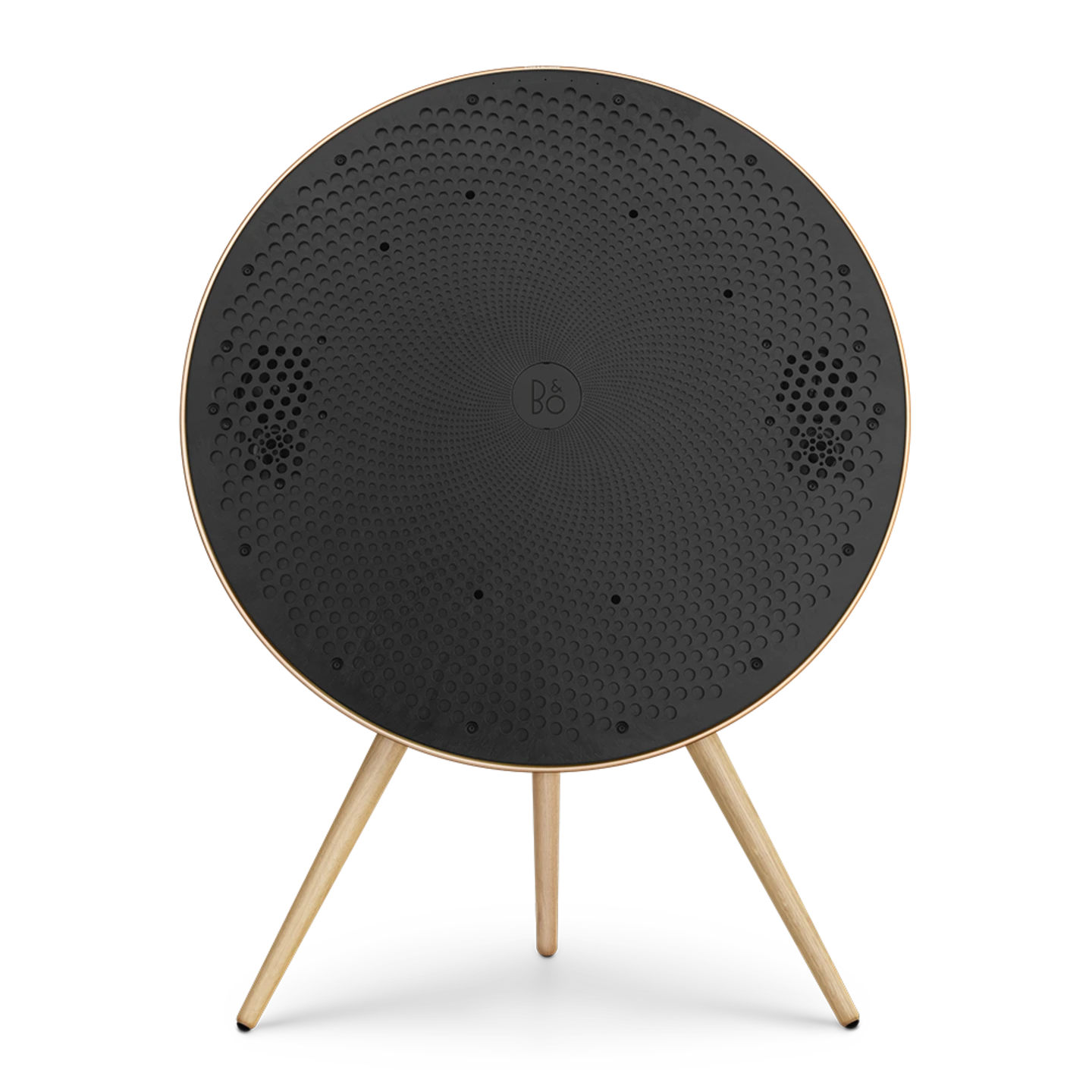 Bang & Olufsen Beosound A9 Multiroom Kablosuz Hoparlör