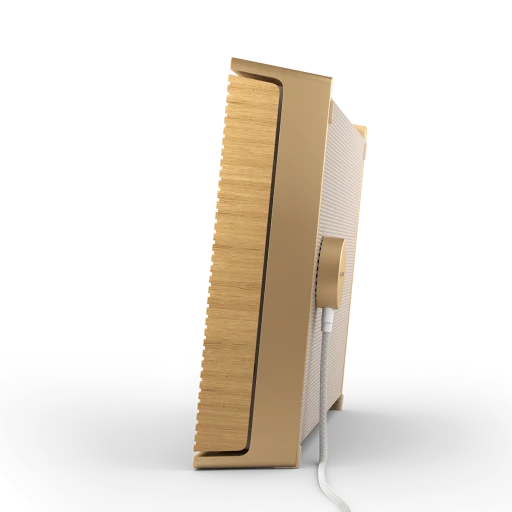 Bang &amp; Olufsen Beosound Level Taşınabilir Multiroom Kablosuz Hoparlör Altın
