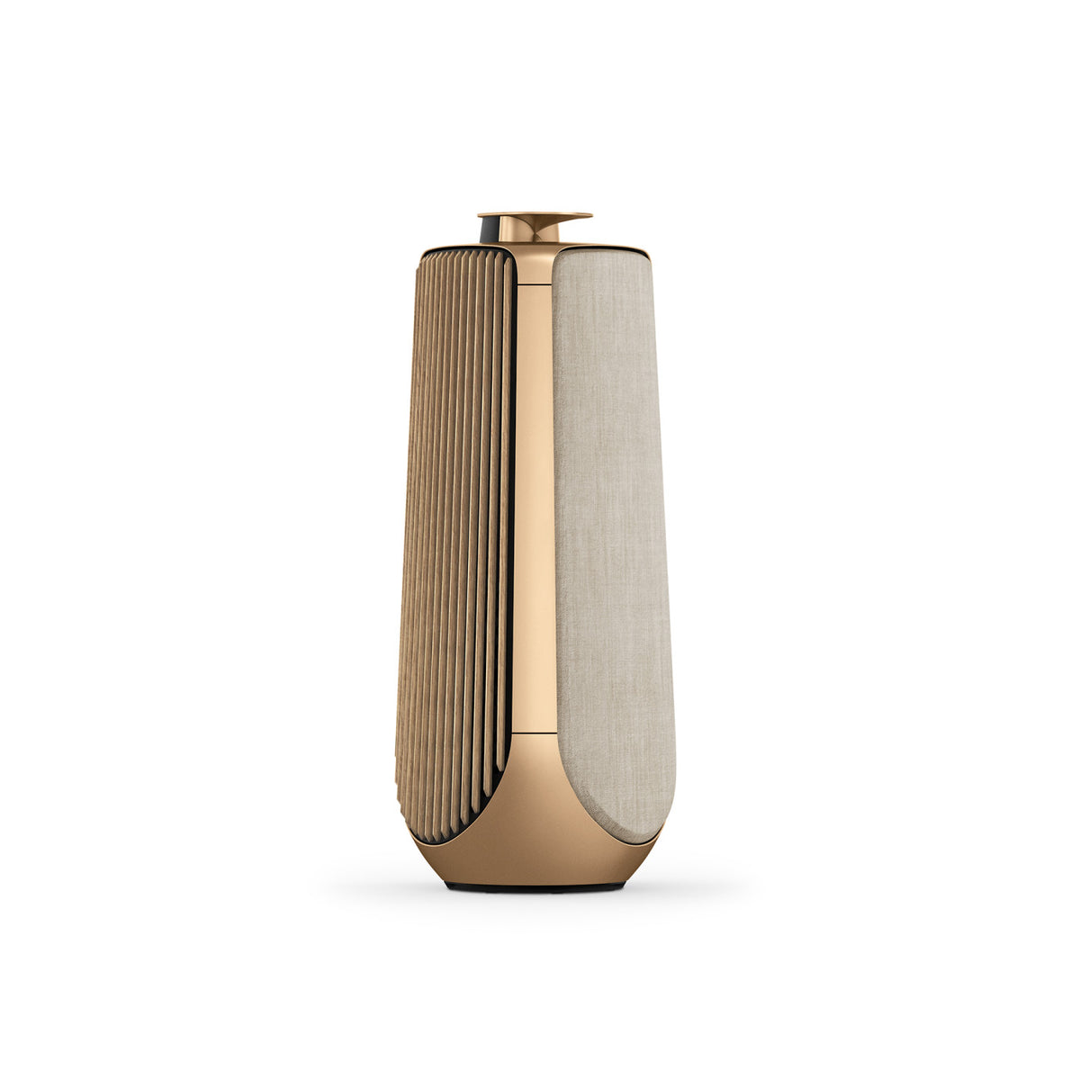 Bang &amp; Olufsen BeoLab 50 Wireless High-End Active Speaker