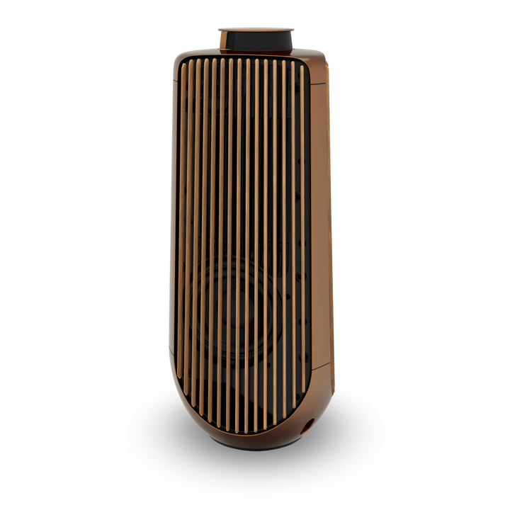 Bang & Olufsen BeoLab 50 Wireless High-End Active Speaker