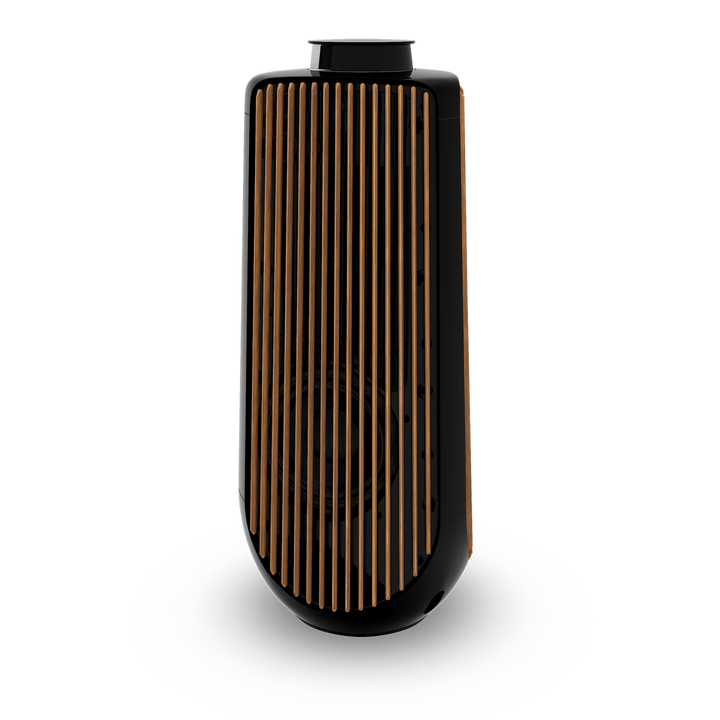 Bang & Olufsen BeoLab 50 Wireless High-End Active Speaker