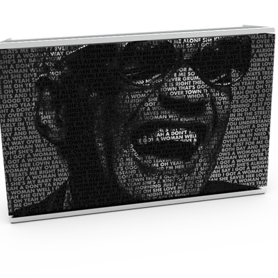 Skiniplay Cover Level Ray